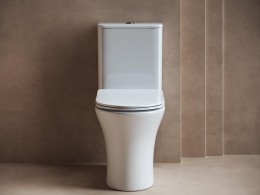 Унитаз-компакт Ceramicanova Fortuna CN9001-B цвет Белый без бачка с сиденьем Микролифт