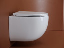 Унитаз Ceramicanova UP Rimless CN4007 подвесной Белый с сиденьем Микролифт