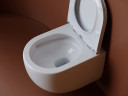 Унитаз Ceramicanova UP Rimless CN4007 подвесной Белый с сиденьем Микролифт