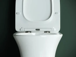 Унитаз-компакт Ceramicanova Star CN1904-B без бачка с сиденьем Микролифт