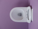 Комплект унитаза Ceramicanova Uno Rimless CN11001  с инсталляцией Geberit Duofix Sigma UP320 111.300.00.5 с сиденьем Микролифт
