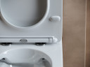 Унитаз-компакт Ceramicanova Fortuna CN9001 с бачком и сиденьем Микролифт