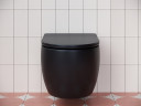 Унитаз Ceramicanova Play CN3001MB подвесной Черный матовый с сиденьем Микролифт